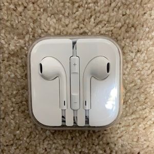Apple EarPods with charging port end